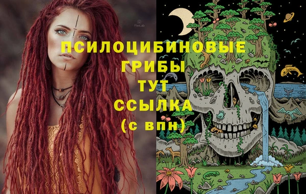 амф Абдулино