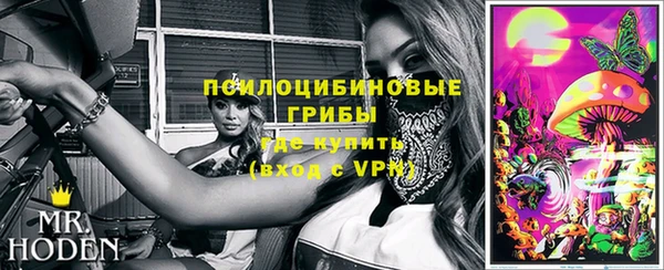 mdpv Медвежьегорск