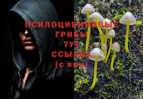 MDMA Алексин