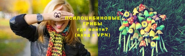 амф Абдулино