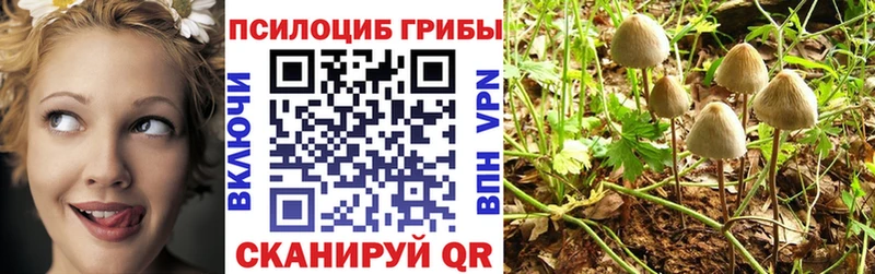 Псилоцибиновые грибы MAGIC MUSHROOMS  Северская 